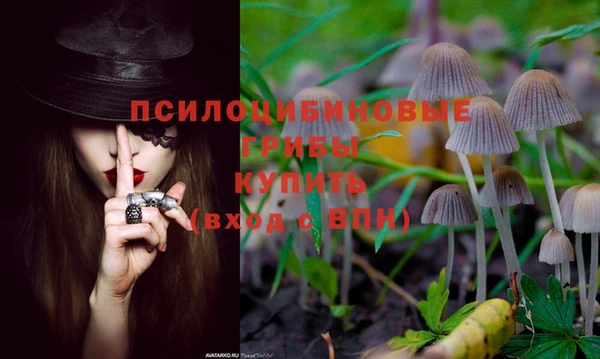 мяу мяу кристалл Богданович